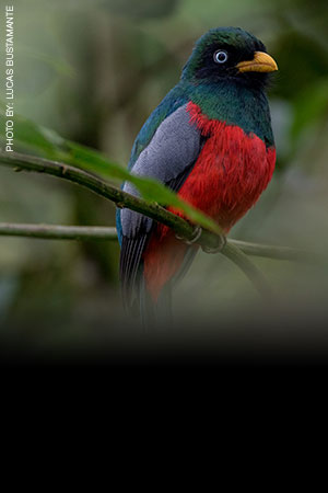 photo wildlife tours ecuador